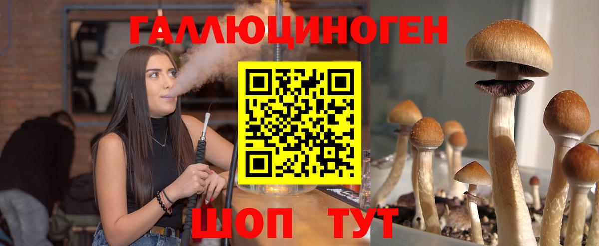Галлюциногенные грибы MAGIC MUSHROOMS Киреевск